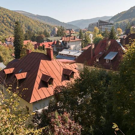 Ferienwohnung Rustic Regal Sinaia Exterior foto