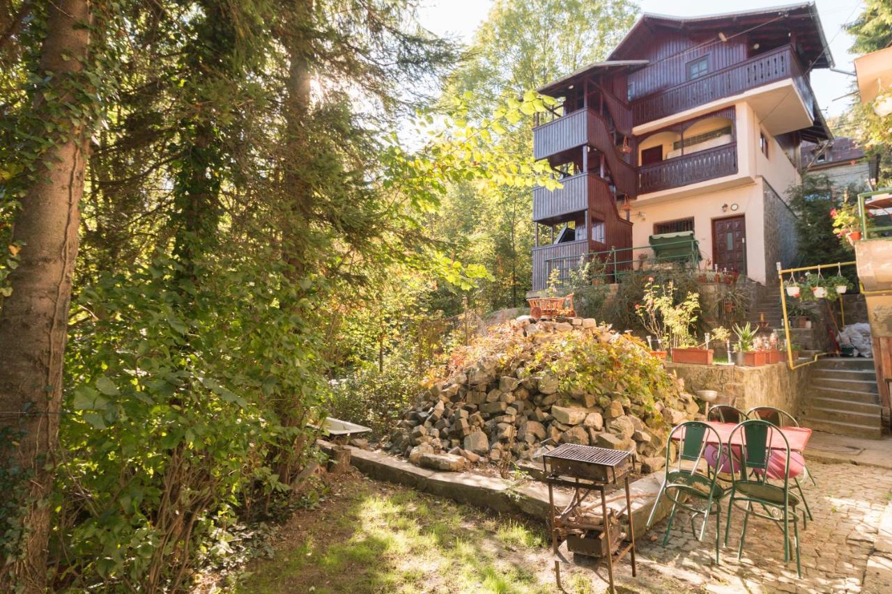 Ferienwohnung Rustic Regal Sinaia Exterior foto